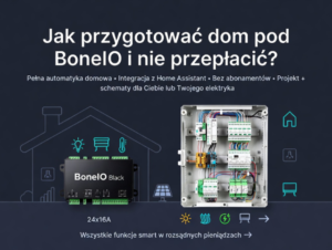 Read more about the article Jak przygotować dom pod automatykę (BoneIO i nie tylko)